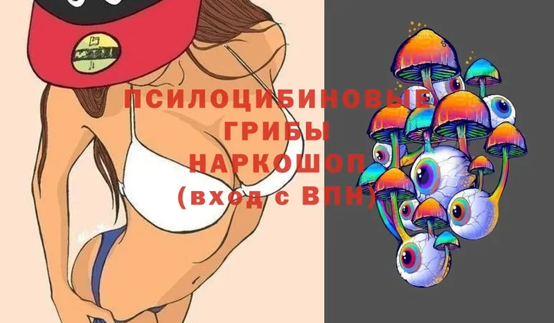 Псилоцибиновые грибы Cubensis  Армянск 